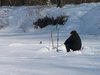 Ловись рыбка...