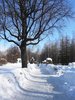 Винновская роща