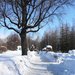 Винновская роща