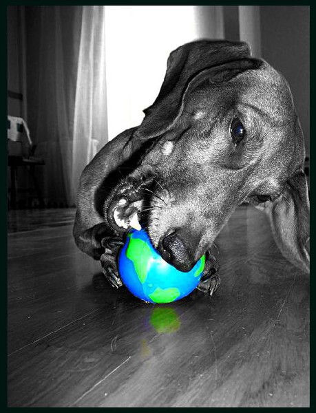 The world is not enough
