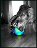 The world is not enough