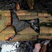 Осколки былой роскоши